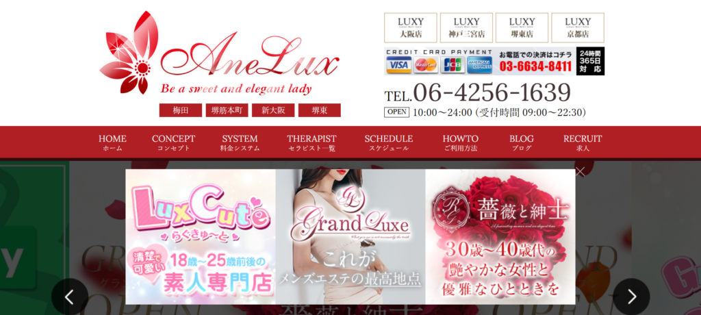 Ane Luxのトップページ画像