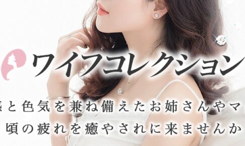 『ワイフコレクション』体験談。