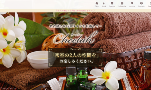 チーターCheetahのトップページ画像