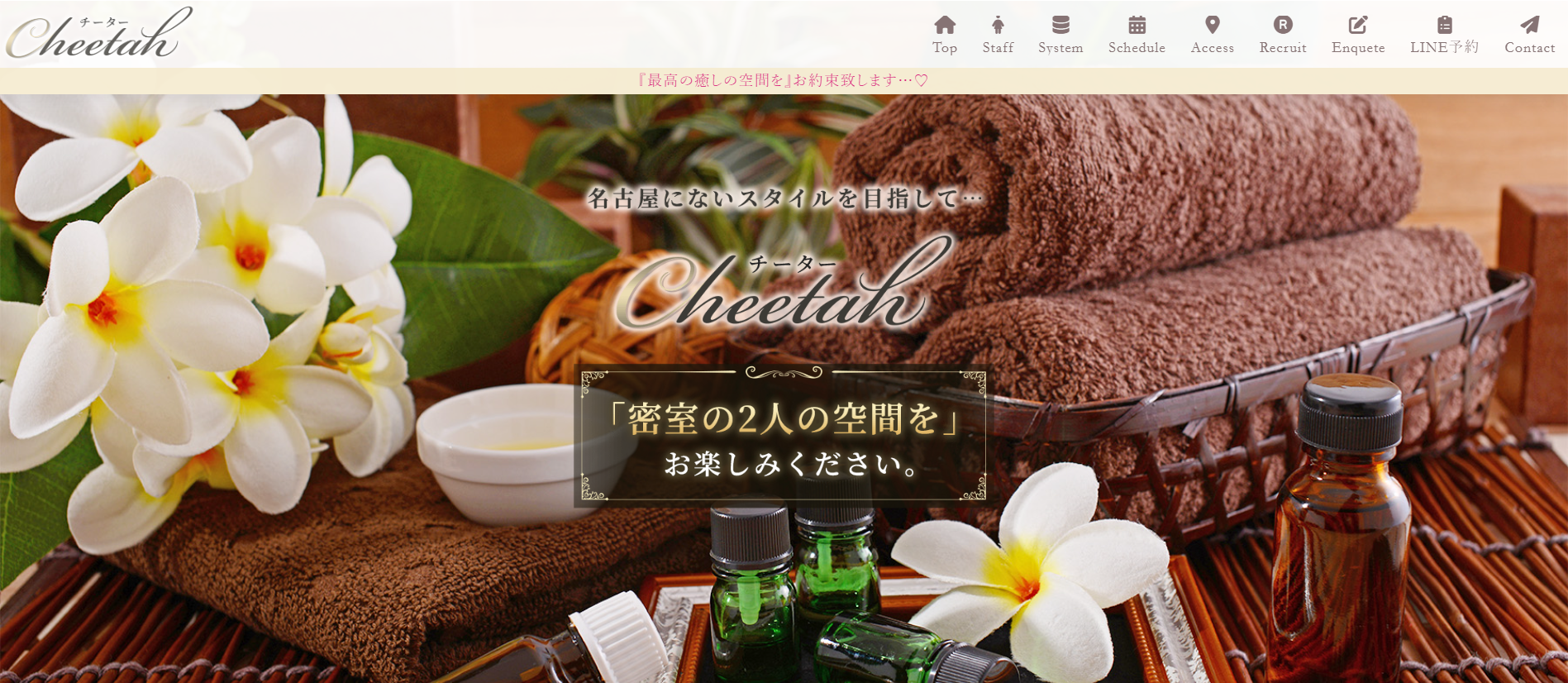 チーターCheetahのトップページ画像