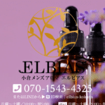 エルビアスELBIASのトップページ画像