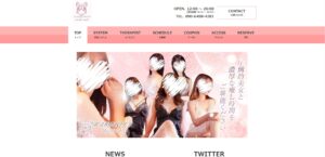 『サロンベイビー(Salon Baby)』体験談。