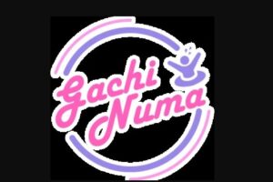 gatinuma-osakanisinakazima