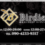バーディーBirdieのトップページ画像