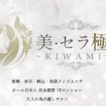 b-s-kiwami