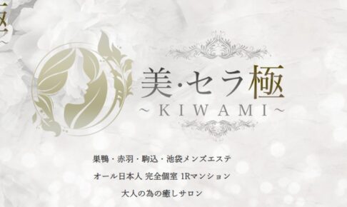 b-s-kiwami