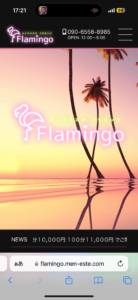 『フラミンゴ(Flamingo)』体験談。
