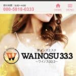 『wainous33.3』体験談。