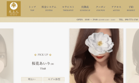 天上人PREMIUMTENJOUBITO PREMIUMのトップページ画像