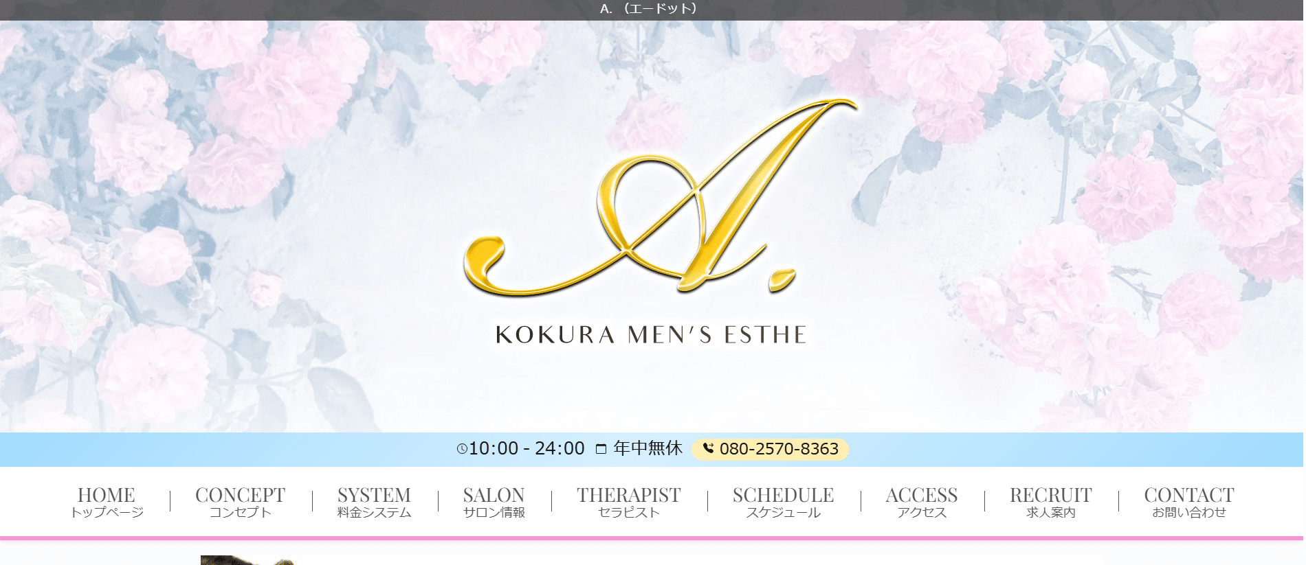 エードットAのトップページ画像