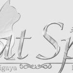cat spa（キャットスパ）のトップページ画像