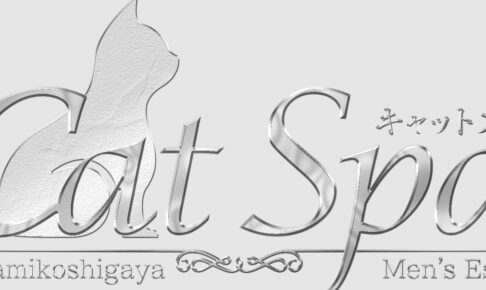 cat spa（キャットスパ）のトップページ画像