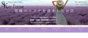 アレイズSK a laise SKのトップページ画像