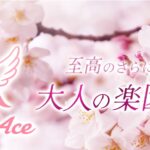 Angel Ace ‣ メンズエステ体験談・口コミなら|男のお得情報局 Angel Ace