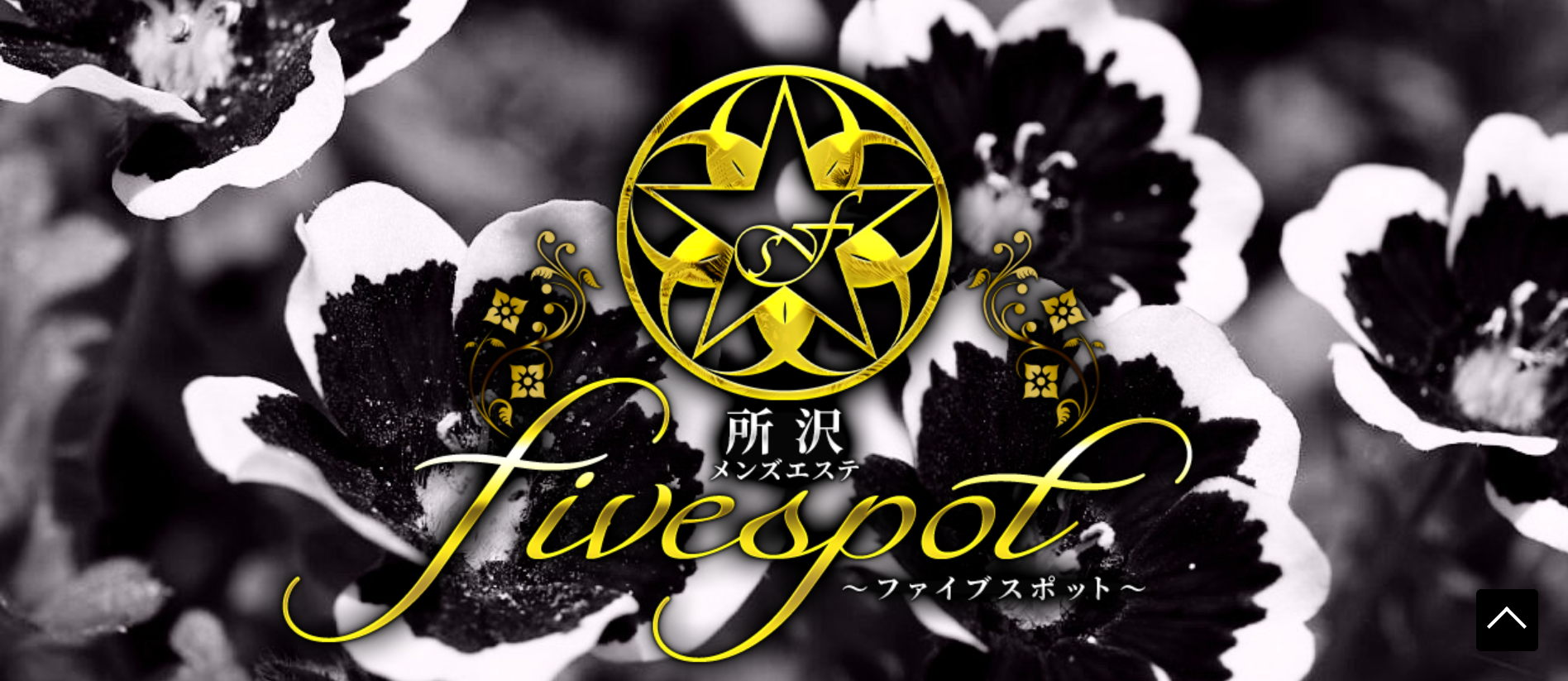 ファイブスポットfivespotのトップページ画像 ファイブスポットfivespotのトップページ画像