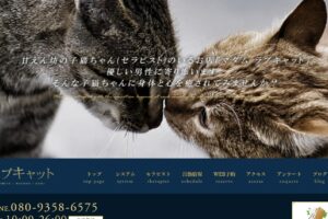 madam-love-cat-omiya ‣ メンズエステ体験談・口コミなら|男のお得情報局 madam-love-cat-omiya