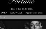 『フォーチュン(Fortune)』体験談。